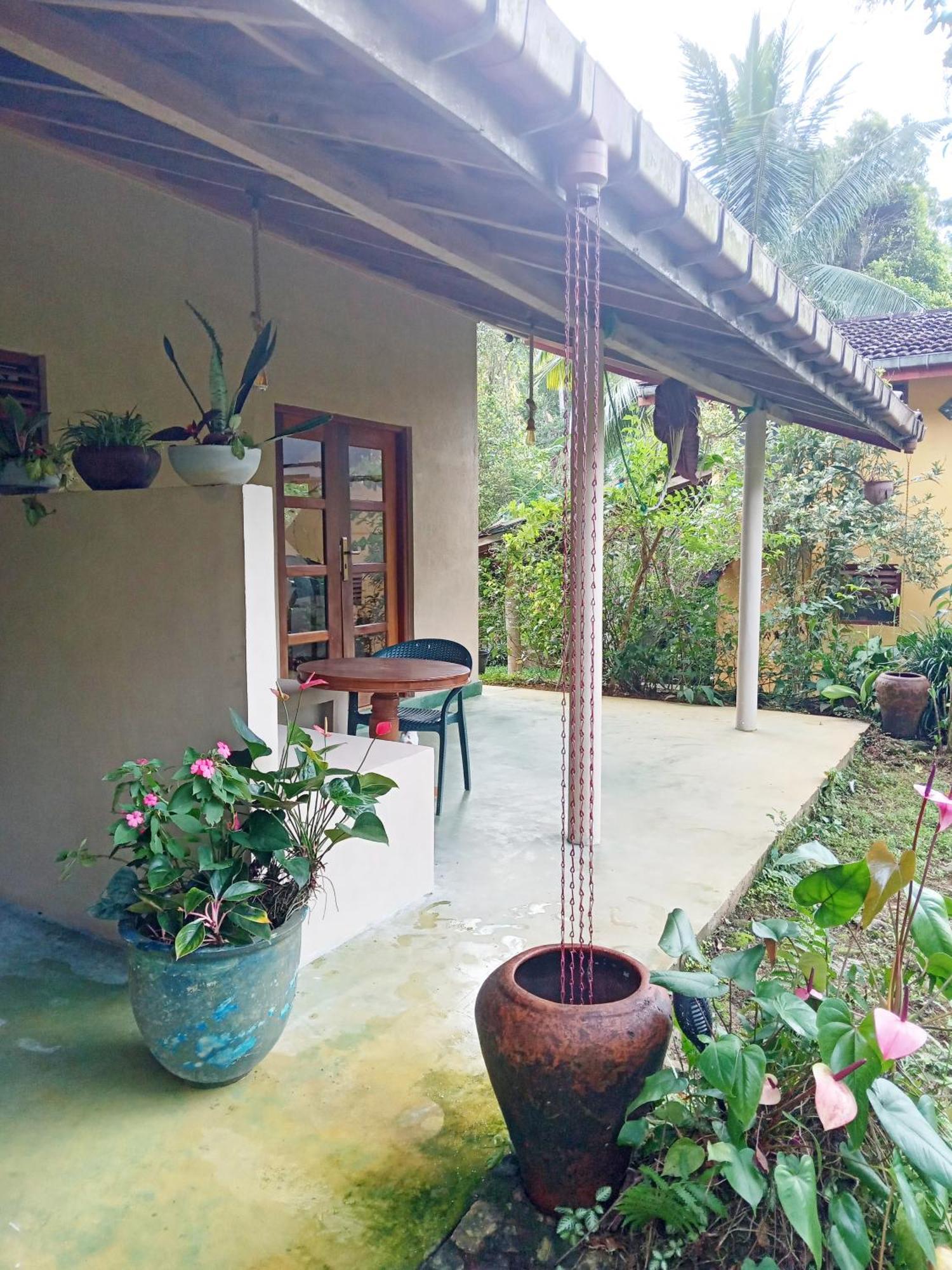 Natural Mystic Sanctuary Deniyaya Extérieur photo